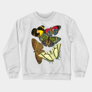 Butterflies Watercolor #9 Crewneck Sweatshirt